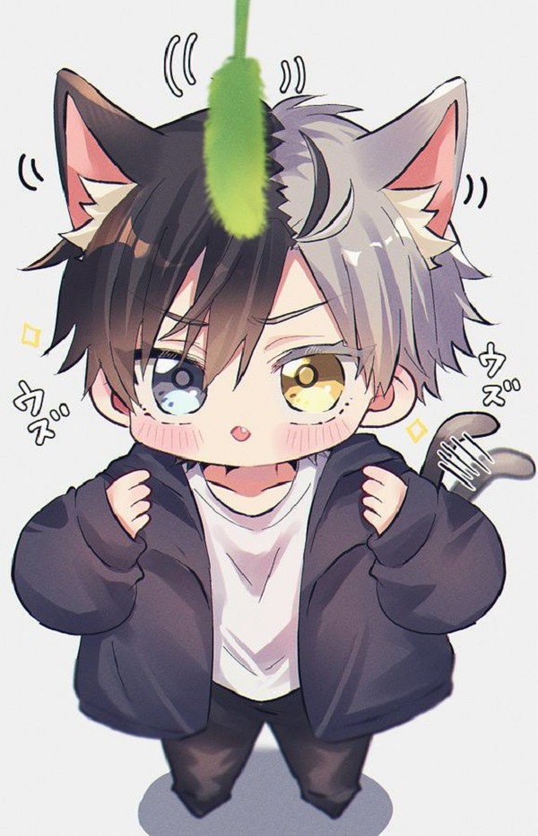 Hình ảnh anime chibi cute nam cực yêu