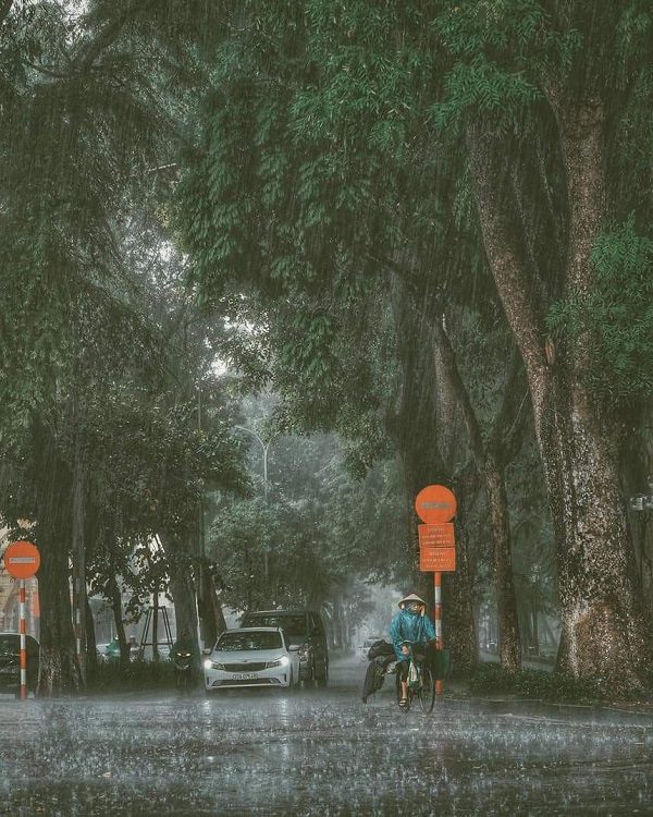 Ảnh trời mưa đẹp ánh đèn xe loang trên mặt đường