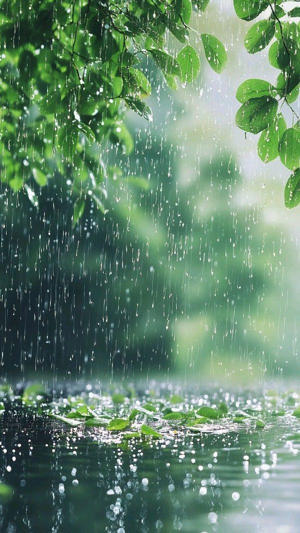 Khoảnh khắc người đi bộ che ô dưới mưa