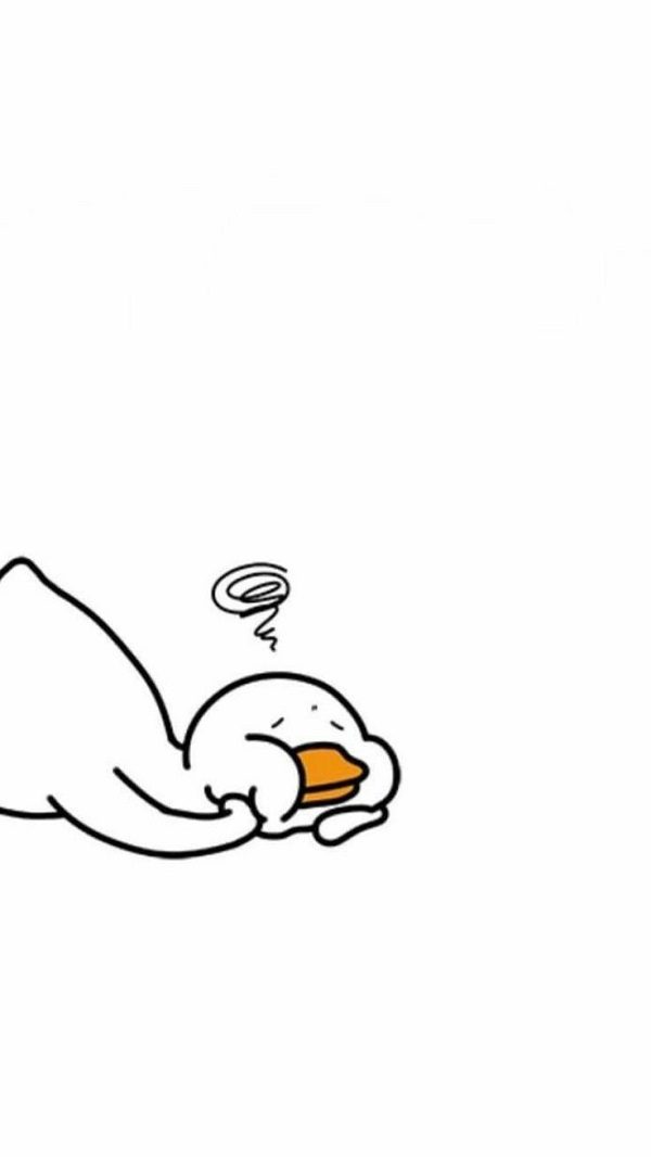 Ảnh con vịt vô tri chill chill bên bờ ao vắng